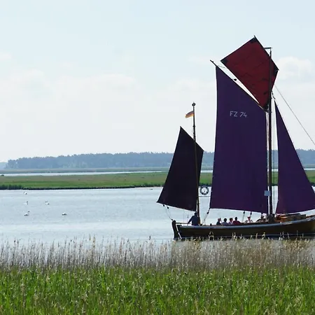 Darsser Weg 34 A _haus Lummennest_ * Zingst