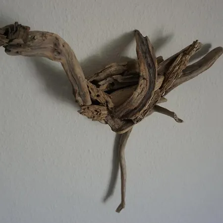 アパート Darsser Weg 34 A _haus Lummennest_